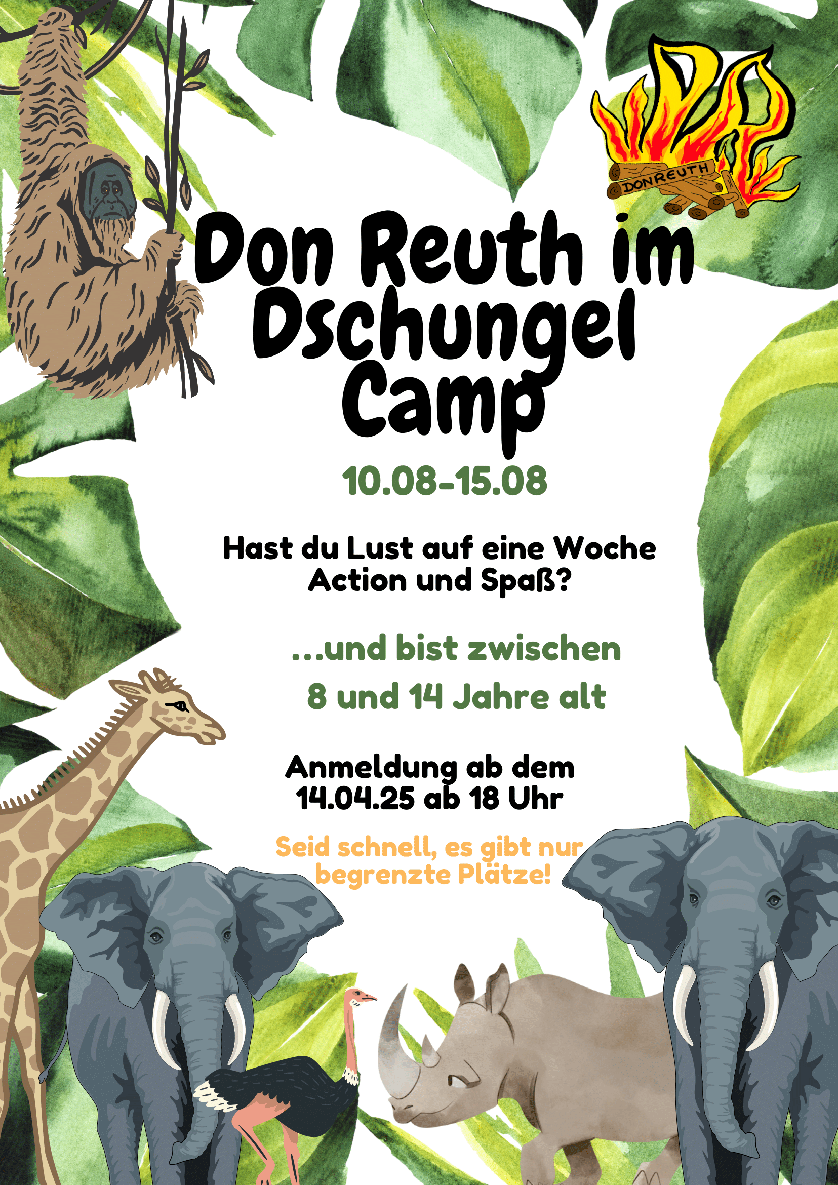 Flyer1