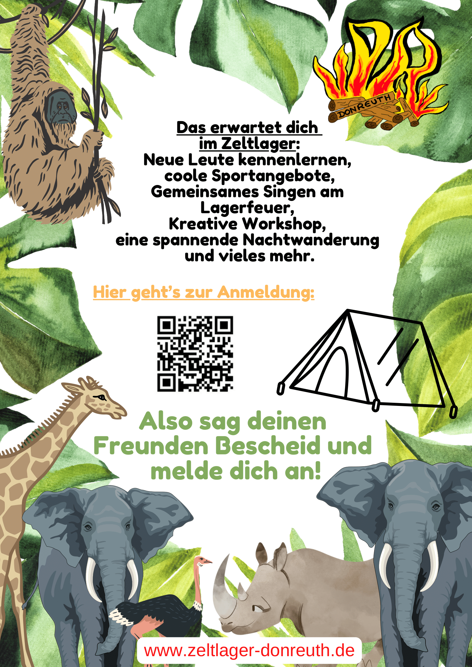 Flyer2